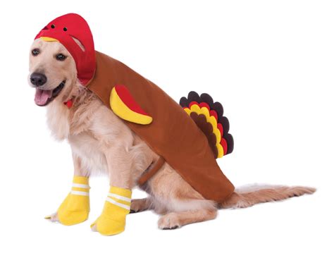 Dog Turkey