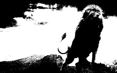 Image result for Image Processing Techniques Python