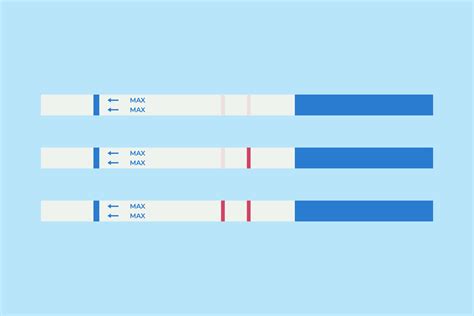 pruebas de embarazo positivo y negativo 15397405 Vector en Vecteezy