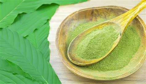 Kratom Rehab and Addiction Treatment in New Hampshire - Discover Health Group