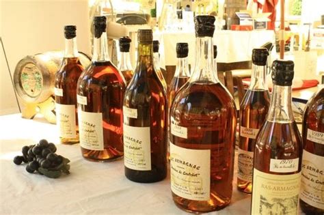 Wine in Provence (Aix-en-Provence) - 2022 What to Know Before You Go ...