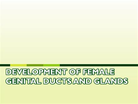 Image result for Female Human Body Development