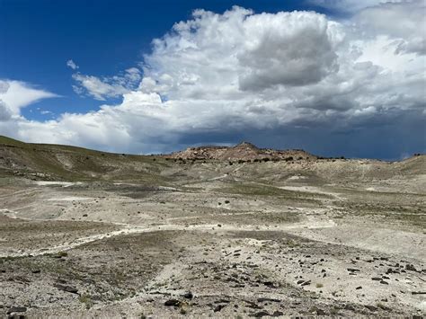 Guide to visiting the Cleveland Lloyd Dinosaur Quarry at Jurassic ...