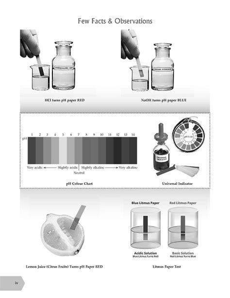 Image result for Science Manual Class 10