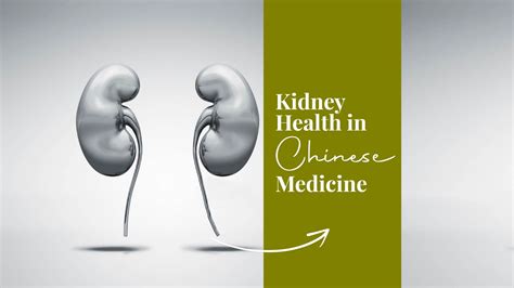 5 Tips to Improve Kidney Health in Chinese Medicine | TCM Blog