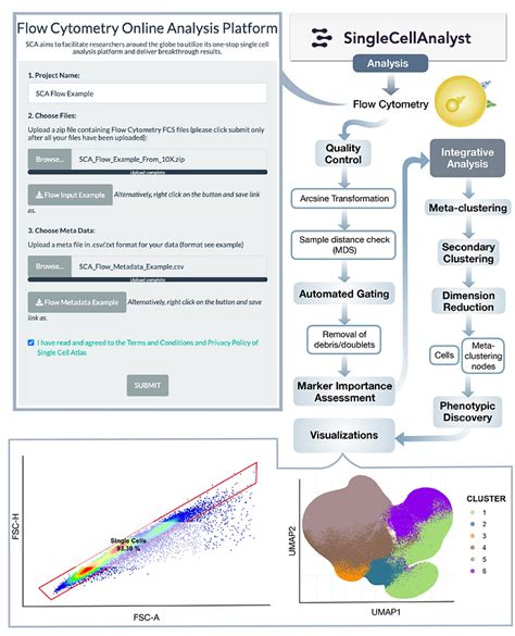 Single Cell Analysis Free Software 的图像结果