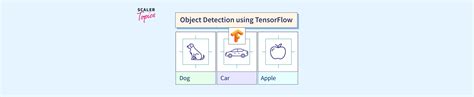 How Does Tensorflow Able to Detect Objects 的图像结果