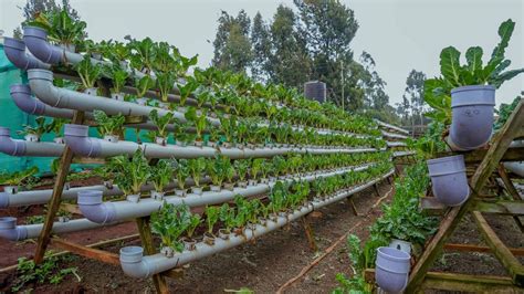 8 Farming Methods for Increased Profitability For Farmers