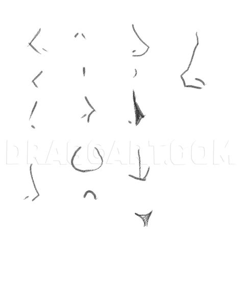 Amazing Tips About How To Draw Noses Anime - Pricelunch34