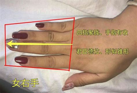 女生手相怎么看财运线婚姻线?看手掌准确率高吗? - 运势无忧