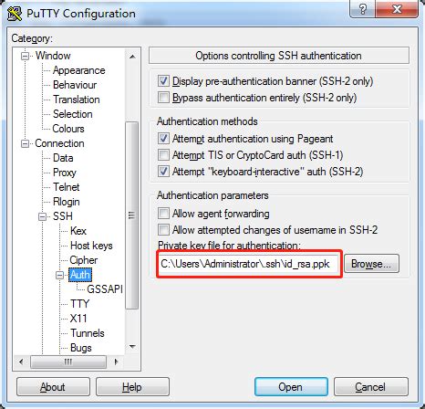 PowerShell PuTTY SSH 的图像结果