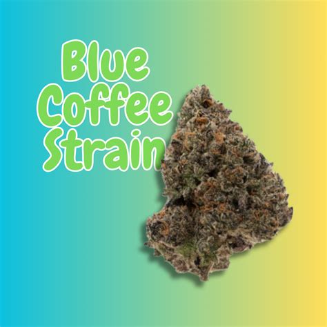 Blue Coffee Strain: A Unique Blend of Flavor and Effect — Project Releaf