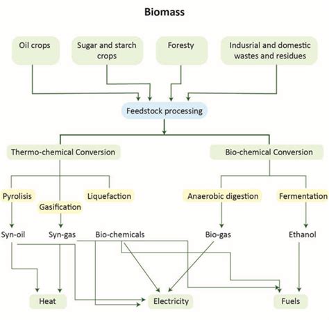 Energy - Extra Study Material