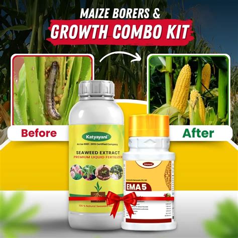 Buy Maize Borers Control Combo for Higher Yields Only @499