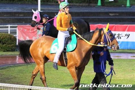 ボマライン (Boma Line) | 競走馬データ - netkeiba