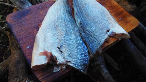 Primitive Cooking Fish 的图像结果