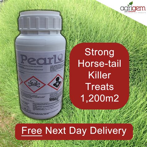 Horse Weed Control at Christy Carter blog