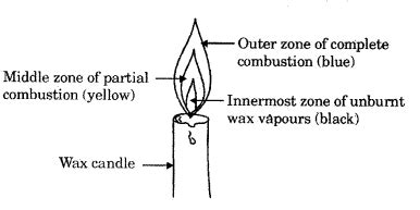 Image result for Class 8 Science Chapter 6 NCERT