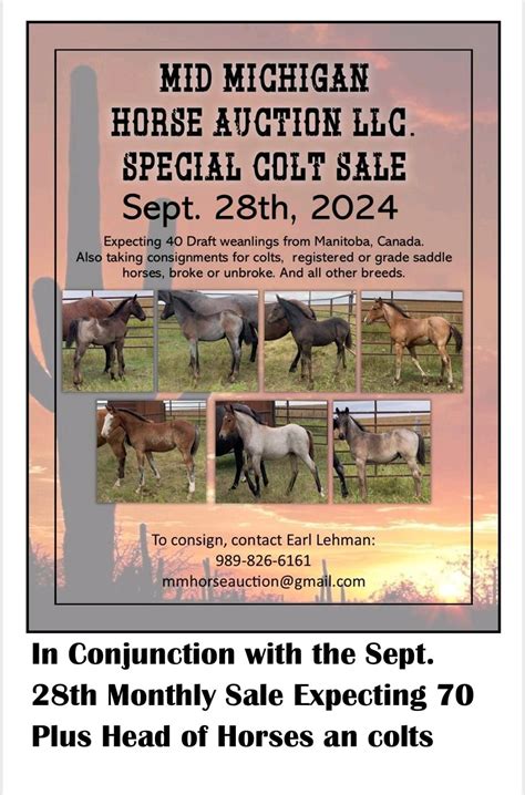 Special Horse Auction in Conjunction with Monthly Hay/Straw, Small ...