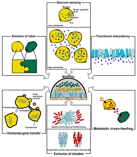 From Microbial Heuristics to Institutional Resilience: Principles for ...