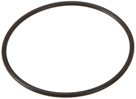 Hayward GLX-DIY-ORING O-Ring Replacement for Hayward Salt & Swim Salt ...