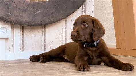 15+ Gen-Memes - Schlechte Witze