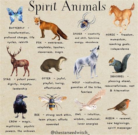 Pin by Amandaames on Quick Saves | Animal spirit guides, Spirit animal ...