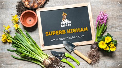Essential Garden Tools for Every Season – SuperbKishan