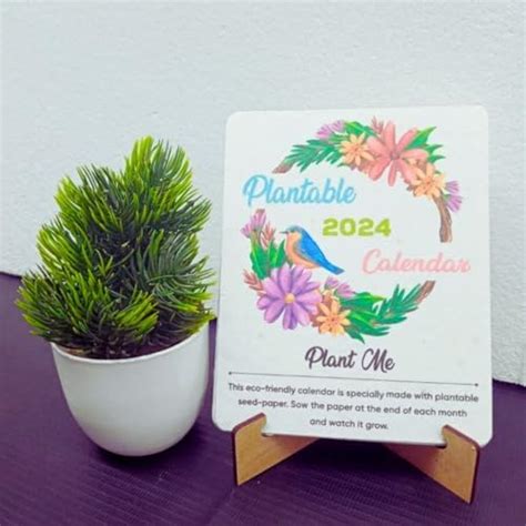 Plantable Seed Calendar 2024 - Ecofriendly New Year Gift : Amazon.in ...