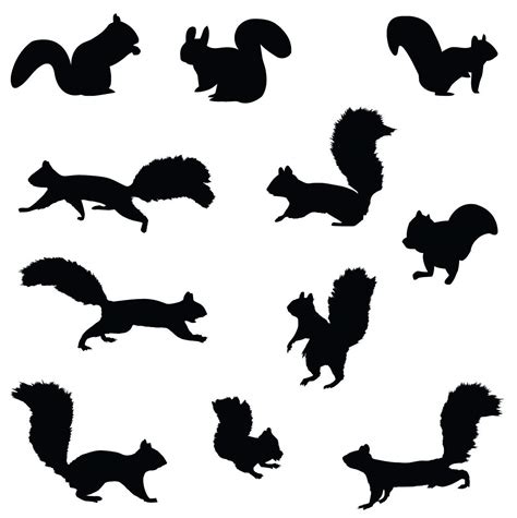 Squirrel Wall Decal Nursery Sticker Set Add To Tree Wall Decals Decor ...
