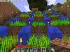 show the model of terrace farming - Brainly.in