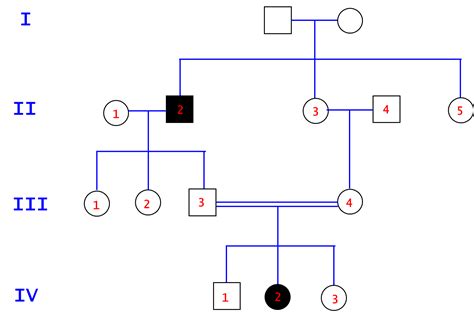 Consider the three pedigrees below, all involving a single human ... | Channels for Pearson+