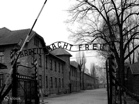Auschwitz-Birkenau & Wieliczka Salt Mine Tour from Krakow - Klook India