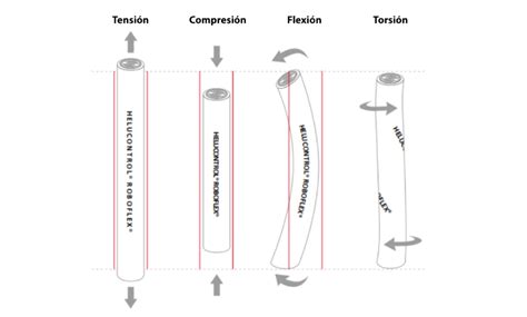 Image result for Breadth Example