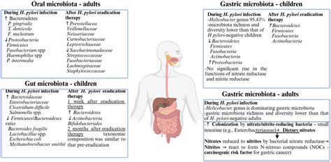 Helicobacter pylori and Compositional Patterns of Digestive Tract ...