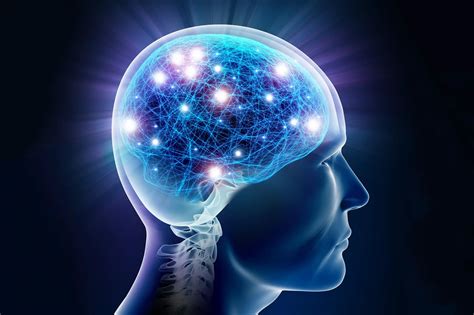 Sensitivity & Sense Organs | Baamboozle - Baamboozle | The Most Fun ...