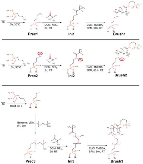 Anionic Polymer Brushes for Biomimetic Calcium Phosphate Mineralization ...
