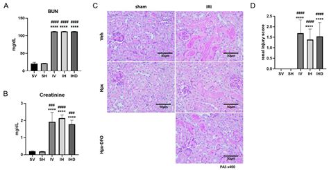 Is Hemopexin a Nephrotoxin or a Marker of Kidney Injury in Renal ...