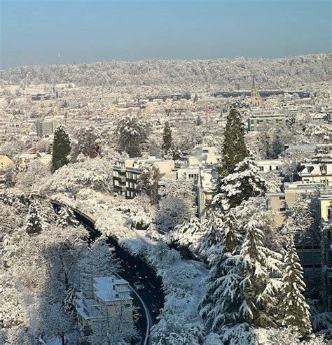 ZURICH MARRIOTT HOTEL - Hotel Reviews, Photos, Rate Comparison ...