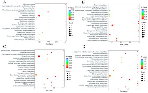 Deciphering Molecular Pathways of Bletilla striata Seeds Symbiotic ...