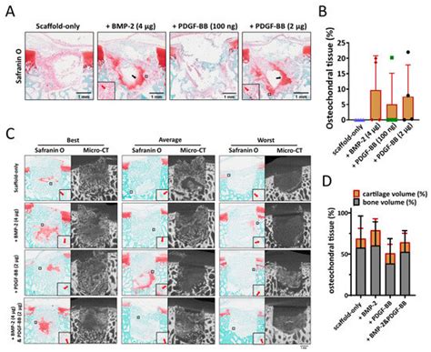 JFB | Special Issue : Women in Science: Functional Biomaterials
