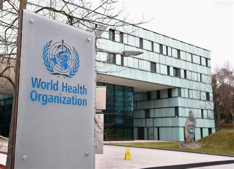 Not Only WHO but Other Studies Also Show Excess COVID-19 Deaths in ...