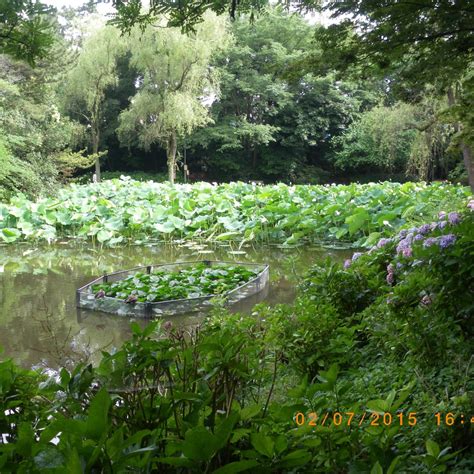 FUJISAKI SHINRIN PARK (2025) All You Need to Know BEFORE You Go (with ...