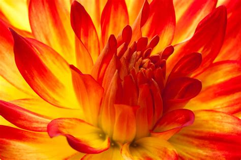 Radio Fiji One Listen Live - 93.0 MHz FM, Suva, Fiji | Online Radio Box