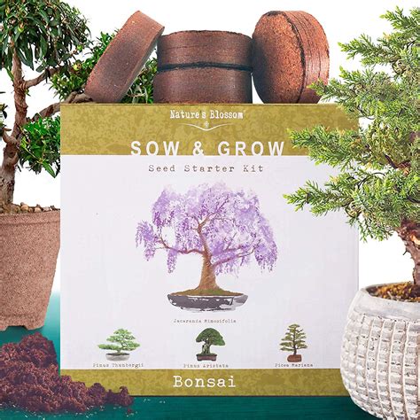 Image result for TeamViewer Mac OS