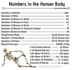 Numbers in the Human body - MBBS PDF Download