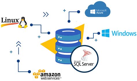 About SQL Server 的图像结果