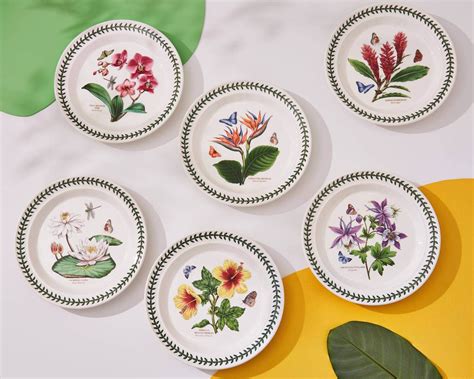 Material Guide: Choosing between fine bone china, porcelain, and earthenware | Portmeirion