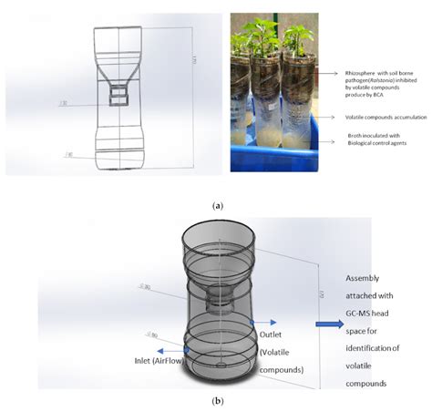 Unraveling Microbial Volatile Elicitors Using a Transparent Methodology ...