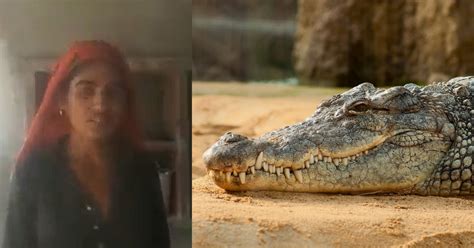 Wife Saves Husband From Deadly Crocodile